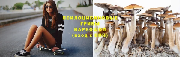 ешки Аркадак